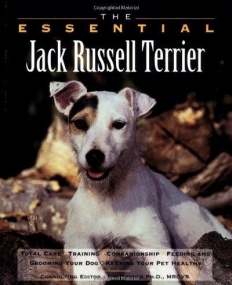 Essential Jack Russell Terrier