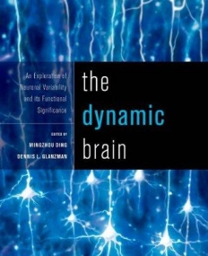 The Dynamic Brain: An Exploration of Neuronal Variability and Its Functional Significance