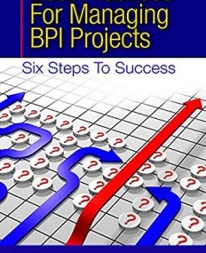 Best Practices for Managing BPI Projects