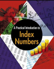 Practical Introduction to Index Numbers