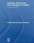 ISLAMISM, DEMOCRACY AND LIBERALISM IN TURKEY (ROUTLEDGE STUDIES IN MIDDLE EASTERN POLITICS)