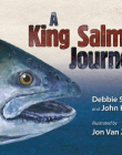 A King Salmon Journey