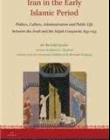 Iran in the Early Islamic Period: Politics, Culture, Administration and Public Life Between the Arab and the Seljuk Conquests, 633-1055 (Iran Studies)