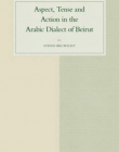 Aspect, Tense and Action in the Arabic Dialect of Beirut (Studies in Semitic Languages and Linguistics)