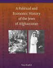 A Political and Economic History of the Jews of Afghanistan (Brill's Series in Jewish Studies)