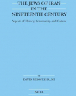 JEWS OF IRAN IN THE NINETEENTH CENTURY: ASPECTS OF HISTORY, COMMUNITY, AND CULTURE,THE