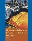 CO2 STORAGE IN CARBONIFEROUS FORMATIONS AND ABANDONED COAL MINES