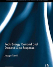 Peak Energy Demand and Demand Side Response (Routledge Explorations in Environmental Studies)
