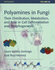 Polyamines in Fungi: Their Distribution, Metabolism, and Role in Cell Differentiation and Morphogenesis (Mycology)