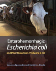 Enterohemorrhagic Escherichia coli and Other Shiga Toxin-Producing E. coli