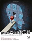 Mechanisms of Sensory Working Memory, Attention and Perfomance XXV