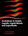 Excitations In Simple Liquids Liquid Metals And S