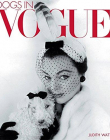 Dogs In Vogue