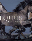 Equus (Mini)