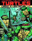 TMNT ONGOING TP VOL 01 (C: 1-0-0)