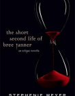 The Short Second Life Of Bree Tanner