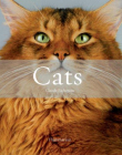 Cats-