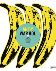 Andy Warhol: The Complete Commissioned Record Covers