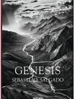 SALGADO. GENESIS