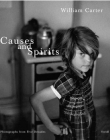 Carter - Causes and Spirits