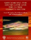 Safeguarding the Ozone Layer and the Global Climate Sys