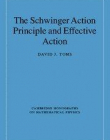 THE SCHWINGER ACTION PRINCIPLES & EFFECTIVE ACTION