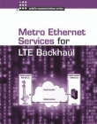 LTE Backhaul for Metropolitan Networks