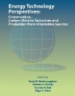 Energy Technology Perspectives: Conservation, Carbon Dioxide Reduction and Production From Alternative Sources