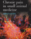 Chronic Pain in Small Animal Medicine