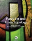 Fuzzy Set and Fuzzy Topology