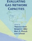 Evaluating Gas Network Capacities