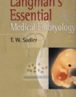 Langman's Essential Medical Embryology