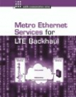 LTE Backhaul for Metropolitan Networks