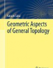 Geometric Aspects of General Topology