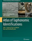 Atlas of Taphonomic Identifications: 1001+ Images of Fossil and Recent Mammal Bone Modification