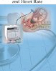 Actocardiogram: Analysis of Fetal Motion and Heart Rate