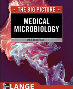 MEDICAL MICROBIOLOGY: THE BIG PICTURE