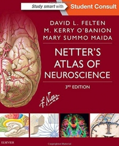 NETTER'S ATLAS OF NEUROSCIENCE, 3RD EDITION