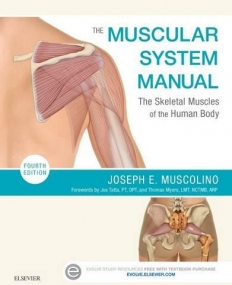 THE MUSCULAR SYSTEM MANUAL, THE SKELETAL MUSCLES OF THE HUMAN BODY, 4TH EDITION