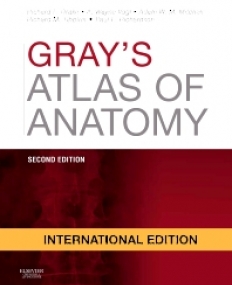 GRAY'S ATLAS OF ANATOMY INTERNATIONAL EDITIO