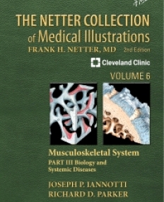 NETTER COLLECTION OF MEDICAL ILLUSTRATIONS: VOLUME 6, PART III
