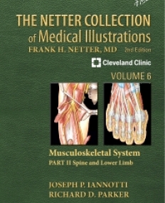 NETTER COLLECTION OF MEDICAILLUSTRATIONS: MUSCULOSKELETAL SYSTEM, VOLUME 6, PART II