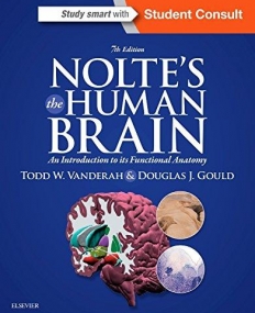 NOLTE'S THE HUMAN BRAIN, AN INTRODUCTION TO ITS FUNCTIONAL ANATOMY, 7TH EDITION
