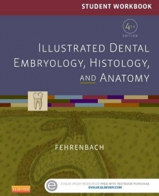STUDENT WORKBOOK FOR ILLUSTRATED DENTAL EMBRYOLOGY, HISTOLOGY AND ANATOMY, 4TH EDITION
