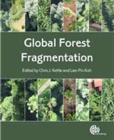 Global Forest Fragmentation