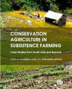 Conservation Agriculture in Subsistence Farming