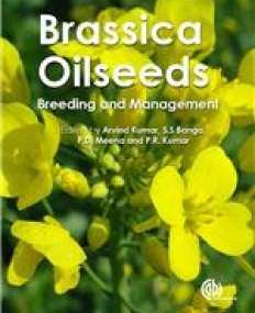 Brassica Oilseeds