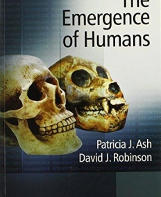 Emergence of Humans: An Exploration of the Evolutionary Timeline
