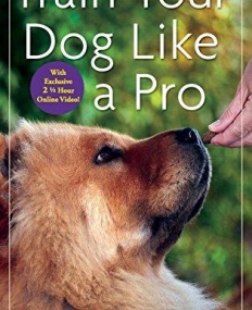 Train Your Dog Like a Pro
