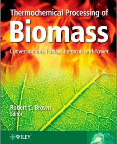 Thermochemical Processing of Biomass: Conversion into Fuels, Chemicals and Power